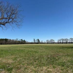 Photo Mar 17 2026, 12 44 51 PM resized