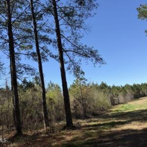 Photo Mar 17 2026, 12 25 16 PM resized