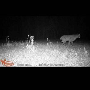 Photo Mar 29 2026, 11 09 40 AM (16)