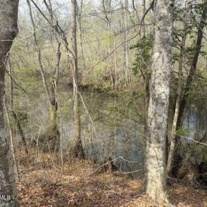 Photo Mar 27 2026, 2 17 11 PM resized