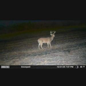 Photo Mar 29 2026, 11 09 40 AM (1)