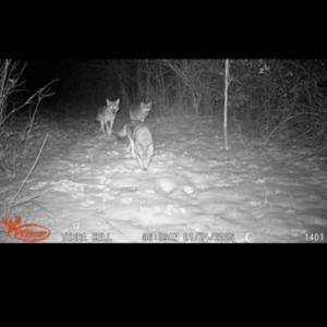 Photo Mar 29 2026, 11 09 40 AM