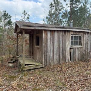 Photo Mar 27 2026, 2 14 59 PM resized