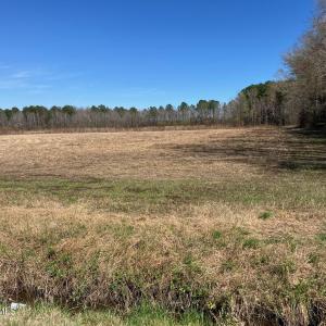 original-55FA6486-B94E-48B8-A5C4-5EA41D1