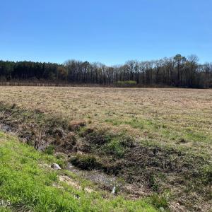 original-555C66D3-0B16-4C6A-9DC0-C278488