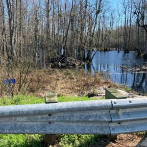 original-0ECE1E96-5E11-4253-ACCB-02FBB8E