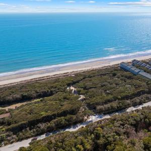 Where Maritime Forest Meets the Atlantic