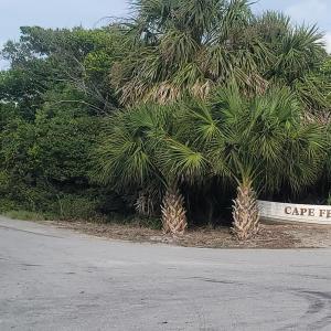 Cape fear II Enytrance