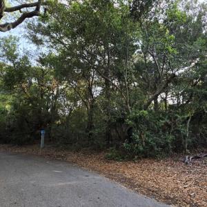 Photo #9 of 619 Wash Woods, Bald Head Island, NC 0.2 acres