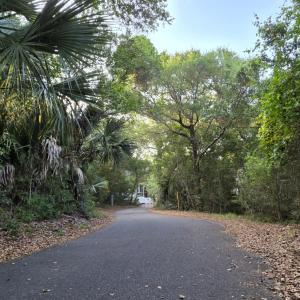 Photo #10 of 619 Wash Woods, Bald Head Island, NC 0.2 acres