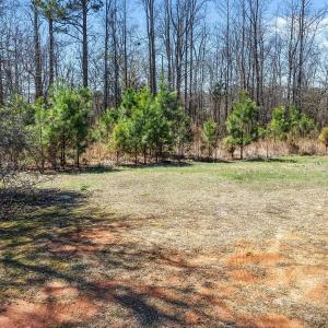10-web-or-mls-DJI_20260313124344_0071_D