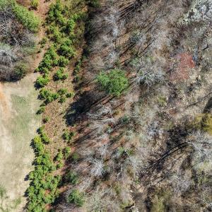 8-web-or-mls-DJI_20260313124254_0069_D