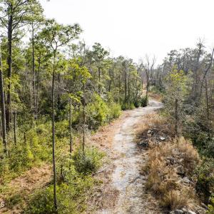 385 long driveway