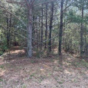 Woods
