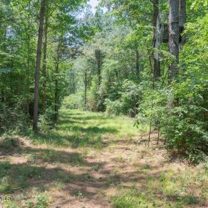 Photo #26 of Highway 42, Tarboro, NC 39.7 acres