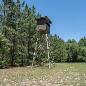 Photo #24 of Highway 42, Tarboro, NC 39.7 acres