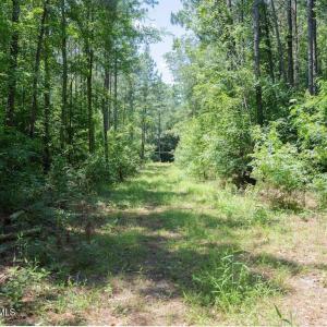 Photo #27 of Highway 42, Tarboro, NC 39.7 acres