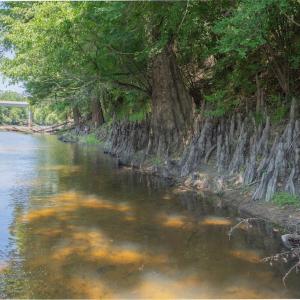 Photo #32 of Highway 42, Tarboro, NC 39.7 acres