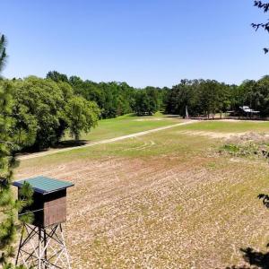 Photo #22 of Highway 42, Tarboro, NC 39.7 acres