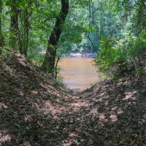 Photo #29 of Highway 42, Tarboro, NC 39.7 acres