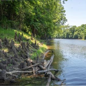 Photo #30 of Highway 42, Tarboro, NC 39.7 acres