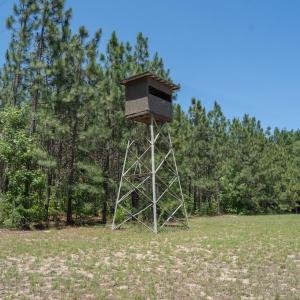 Photo #23 of Highway 42, Tarboro, NC 39.7 acres
