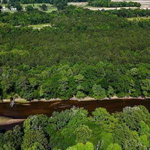 Photo #41 of Highway 42, Tarboro, NC 39.7 acres