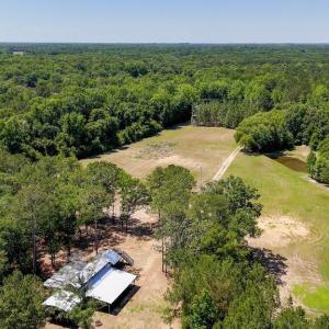 Photo #36 of Highway 42, Tarboro, NC 39.7 acres