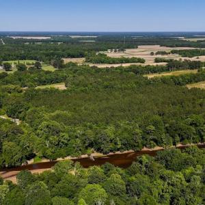 Photo #40 of Highway 42, Tarboro, NC 39.7 acres