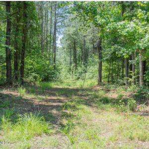Photo #25 of Highway 42, Tarboro, NC 39.7 acres