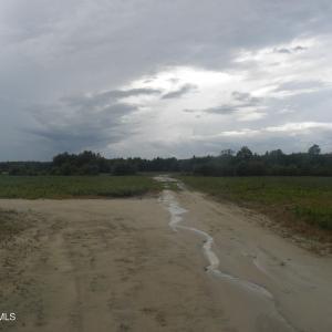 DSCN3487