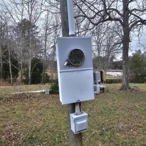 251 ALLIGATOR LOOP 5 ELECTRIC 1