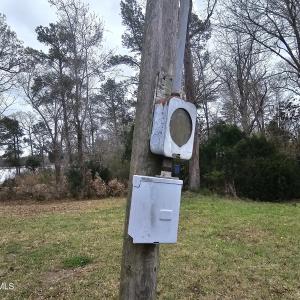 251 ALLIGATOR LOOP 6 ELECTRIC 2