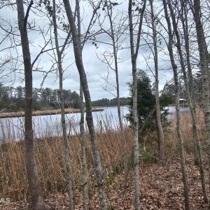 251 ALLIGATOR LOOP 4 RIGHT WATER VIEW