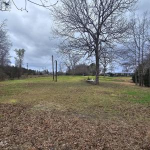 251 ALLIGATOR LOOP 2 LOOKING BACK TO THE