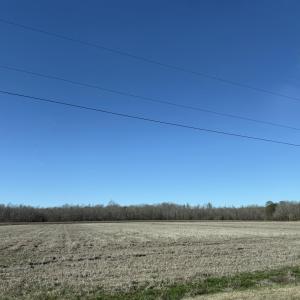 IMG_7073