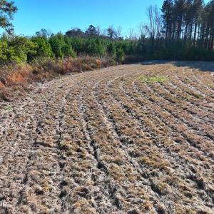 Copy of DJI_20251213134300_0025_V