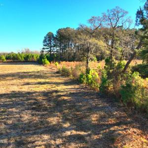 Copy of DJI_20251213134340_0029_V