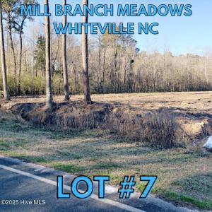 LOT #1_20250214_092842_0000