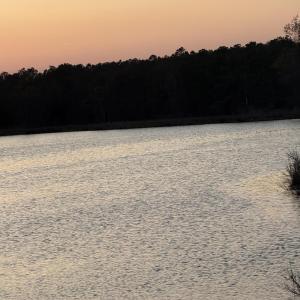 Calm Waters