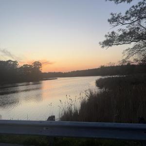 Sunset on Pungo