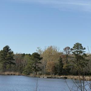 Pungo Creek