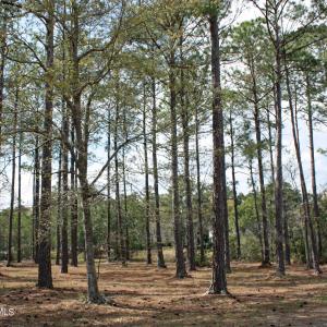 Lightly wooded homesite