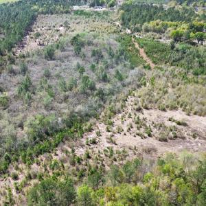 dji_fly_20260401_142032_9_1775095996738_