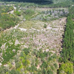 dji_fly_20260401_143120_16_1775095954639