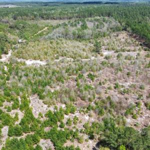 dji_fly_20260401_143304_20_1775096098815