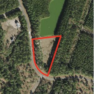 1512 Bailey Pointe Dr (LT 99)
