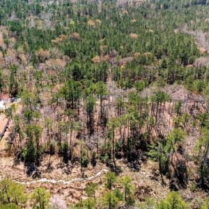 007_Aerial view