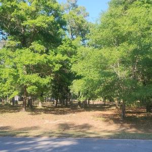 2168 Clambake ct 4-26