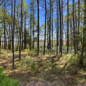 1624 herons view dr-00004